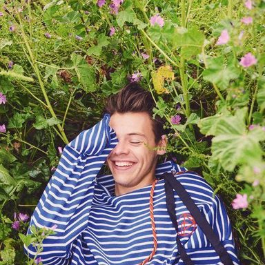 Harry Styles photo 158