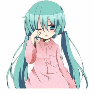 Hatsune Miku photo 12