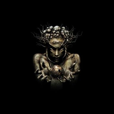 Infected Mushroom