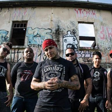 Jack Society photo 10