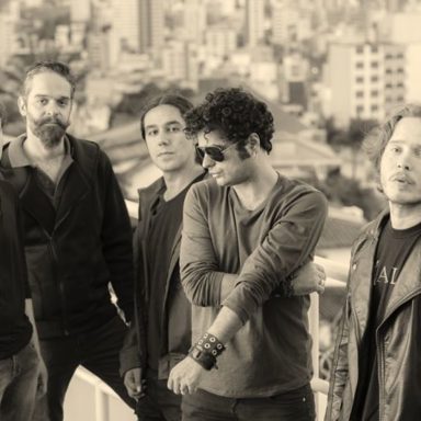 The Junkie Dogs
