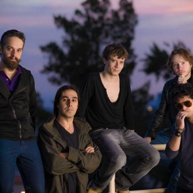 The Junkie Dogs