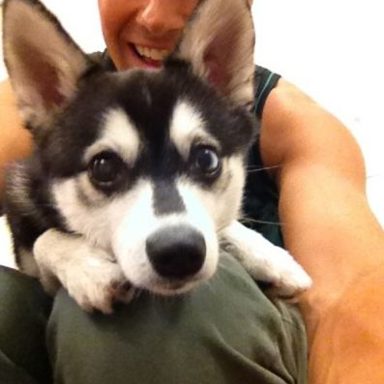 James Maslow photo 20