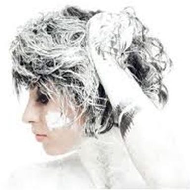 Kimbra photo 20