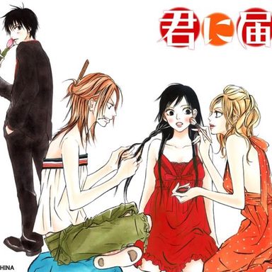 Kimi ni Todoke photo 17
