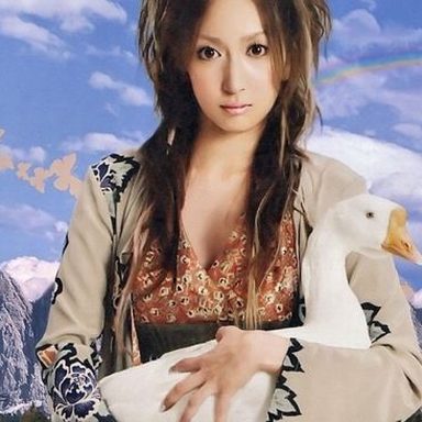 Kokia