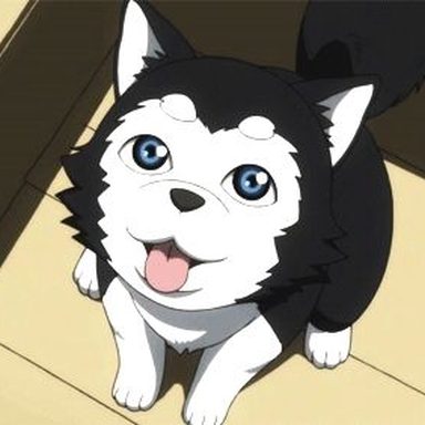 Kuroko no Basuke
