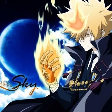 Katekyo Hitman Reborn photo 14