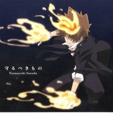 Katekyo Hitman Reborn photo 19