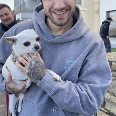 Liam Payne