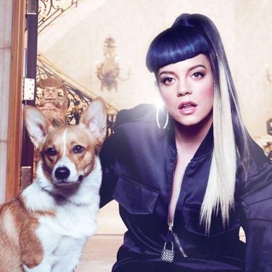 Lily Allen photo 13