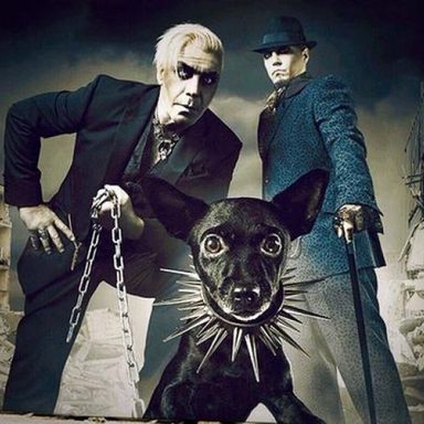 Lindemann photo 15