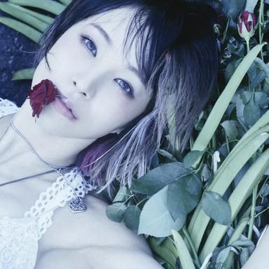 LiSA photo 47
