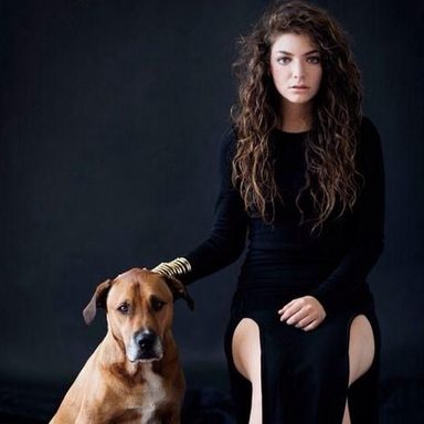 Lorde photo 26