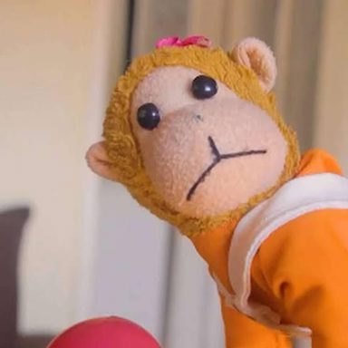 Macaco Severino