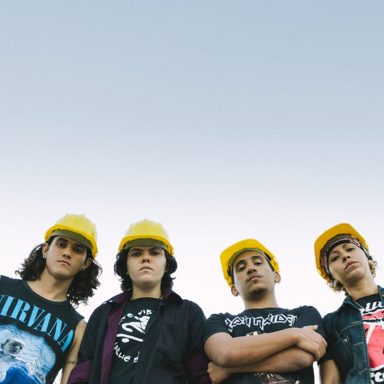 Macacos Em Greve
