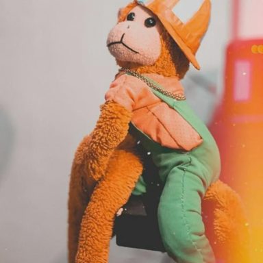 Macaco Severino