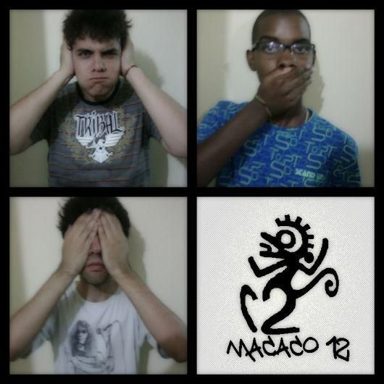 Macaco 12
