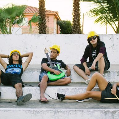 Macacos Em Greve