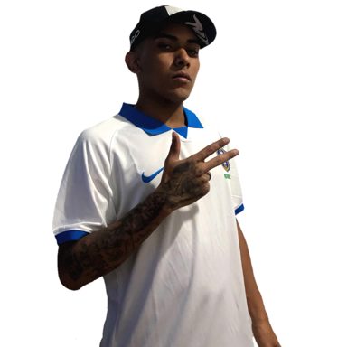 MC Vini LK