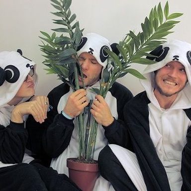 McFly photo 80