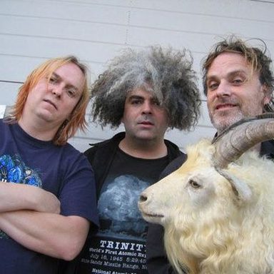 Melvins photo 9