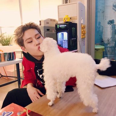 MONSTA X photo 387