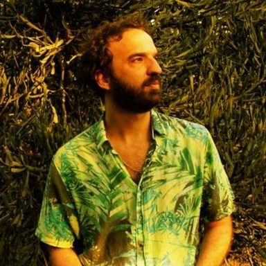 Marcelo Camelo photo 18