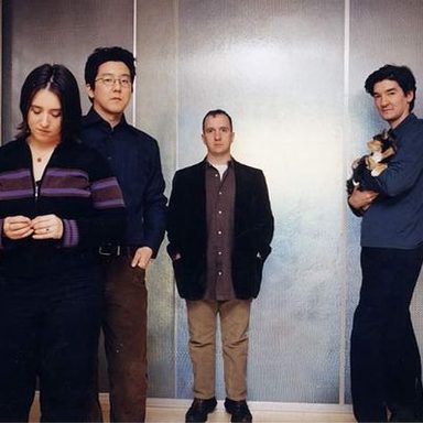 The Magnetic Fields