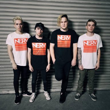NeRV