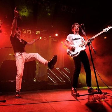 New Hope Club photo 37