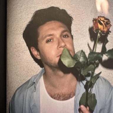 Niall Horan photo 42