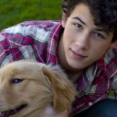 Nick Jonas & The Administration photo 36