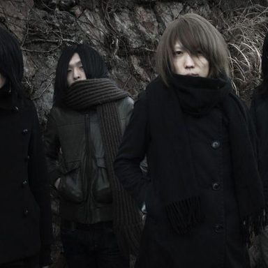 The Novembers