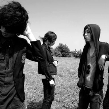 The Novembers