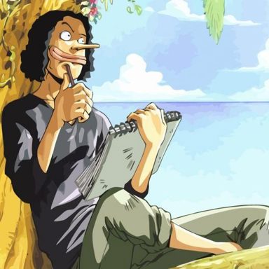 One Piece photo 13