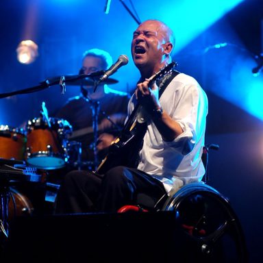 Os Paralamas do Sucesso