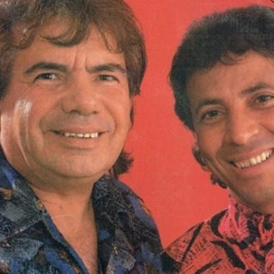 Palmeira e Biguá