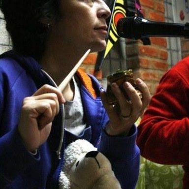 Pato Fu