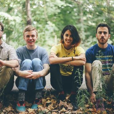 Pinegrove