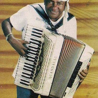 Pinto do Acordeon