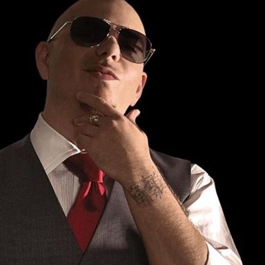 Pitbull photo 14