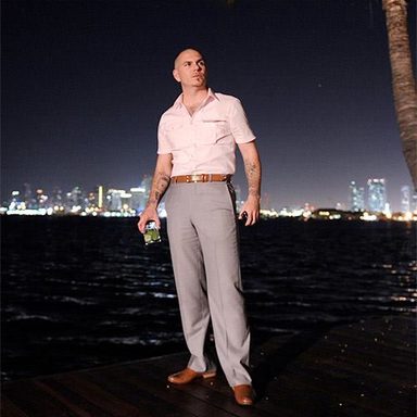 Pitbull photo 12