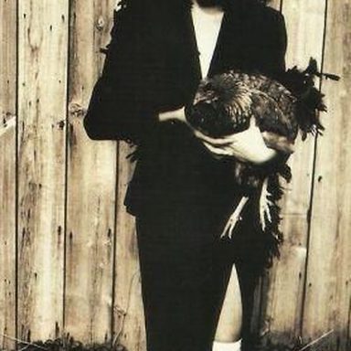 PJ Harvey photo 30