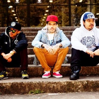 Pollo photo 12