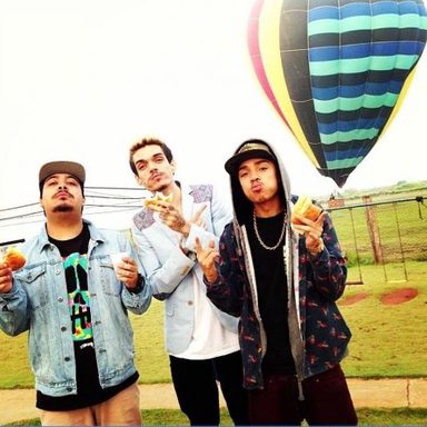 Pollo photo 29