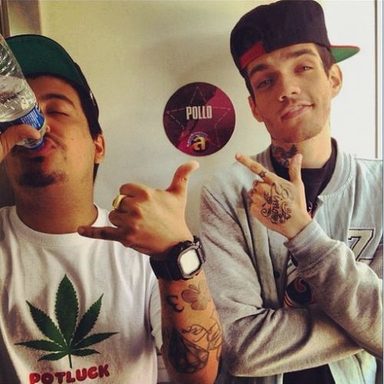 Pollo photo 25
