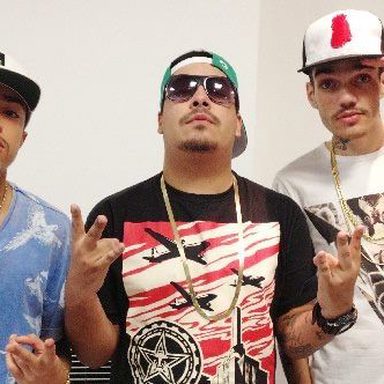 Pollo photo 28