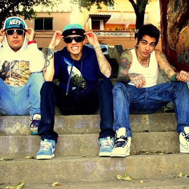 Pollo photo 40