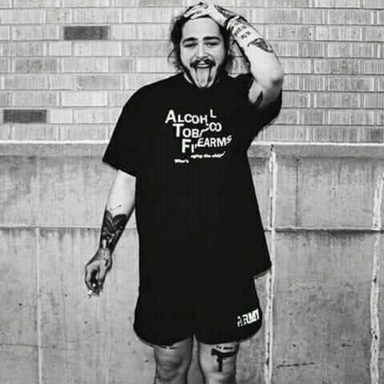Post Malone photo 12